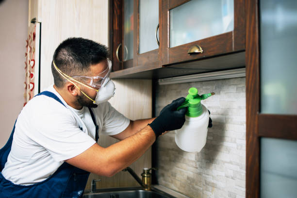 Professional Pest Control in Glendive, MT