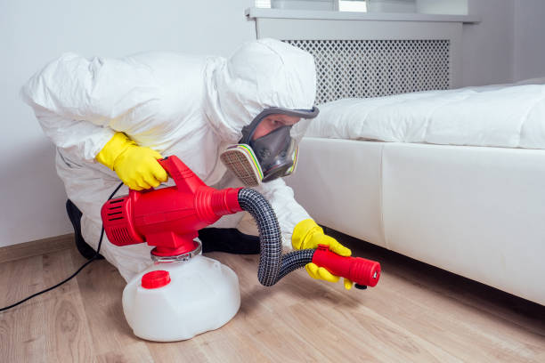 Best Rat Extermination Near Me  in Glendive, MT
