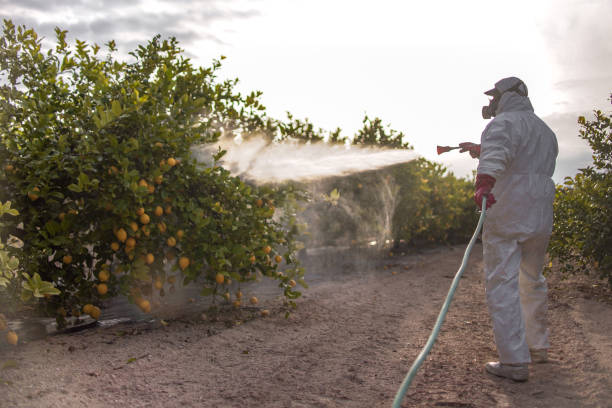 Best Commercial Pest Control Services  in Glendive, MT