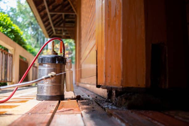 Best Wasp Removal Services  in Glendive, MT